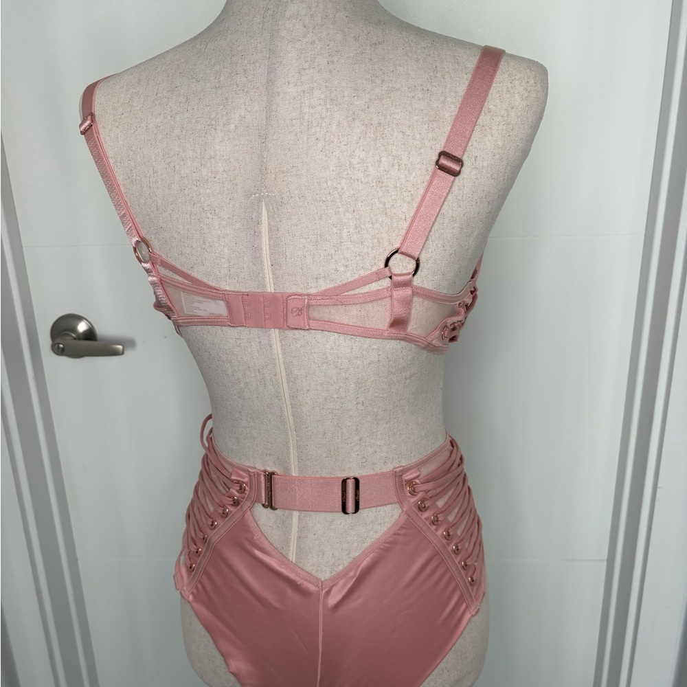 Honey Birdette Jerry Bra, Brief, and garter Blush Pink Bra Full Set - Picture 4 of 12